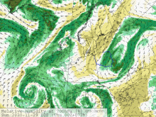 Rys. 1. Mapa poziomów górnych - wilgotności względnej, towarzyszącej układowi niżowemu nad Europą środkowo-wschodnią w niedzielę 29.11.2020 r.