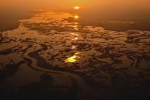 Narew, fot. Maciek Maciejewski