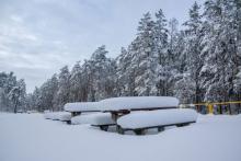 Fot. Mateusz Zamajtys, zima na Podlasiu