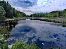 Podlasie, 04.06.2021 r. | Fot. Julita Biszczuk-Jakubowska, IMGW-PIB Warszawa