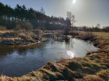 Luty na Mazowszu, 24.02.2022 r. | Fot. Izabela Adrian, IMGW-PIB