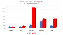 Liczba pożarów lasów w latach 2020-2021 – porównanie w okresie styczeń-maj.