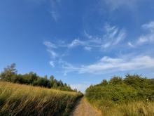 Chmury Cirrus w Beskidzie Niskim. Fot. Wioletta Bogaczyk | IMGW-PIB