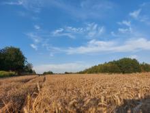 Chmury Cirrus (Ci) w Beskidzie Niskim, lipiec 2022 r. Fot. Wioletta Bogaczyk | IMGW-PIB