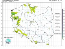 Suma skumulowanego opadu od początku września 2022.