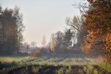 Chłodny poranek na Mazowszu, 03.11.2022 r. Fot. Izabela Adrian | IMGW-PIB