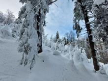 Beskid Niski. Fot. Wioleta Bogaczyk | IMGW-PIB