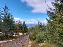 Beskid Śląski, 15.04.2023 r. Fot. Wioletta Bogaczyk | IMGW-PIB